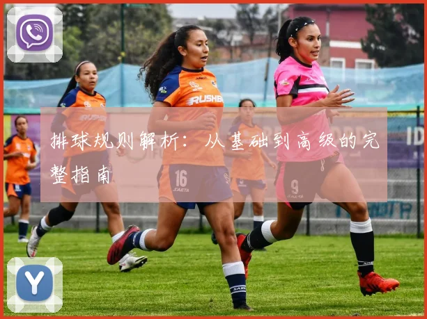 排球规则解析:从基础到高级的完整指南