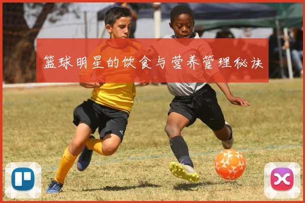 篮球明星的饮食与营养管理秘诀