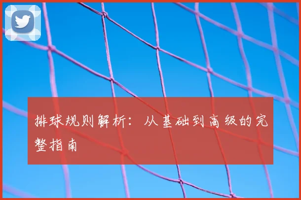 排球规则解析:从基础到高级的完整指南